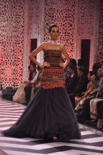 Model walk the ramp at the Grand Finale of IIJW 2013 on 8th Aug 2013 (167).JPG
