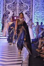 Model walk the ramp at the Grand Finale of IIJW 2013 on 8th Aug 2013 (45).JPG