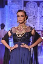 Model walk the ramp at the Grand Finale of IIJW 2013 on 8th Aug 2013 (54).JPG