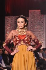 Model walk the ramp at the Grand Finale of IIJW 2013 on 8th Aug 2013 (72).JPG