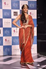 Sonam Kapoor walk the ramp at the Grand Finale of IIJW 2013 on 8th Aug 2013 (53).JPG
