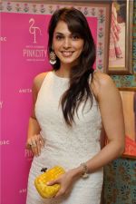 Isha Koppikar wearing jewellery from the Pinkcity collection at Anita Dongre_s launch of Pinkcity in association with jet Gems in Mumbai on 13th Aug 2013.JPG