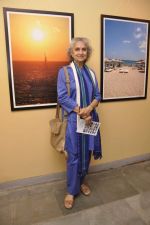 at DR Batra exhibition in NCPA, Mumbai on 21st Aug 2013 (3).JPG