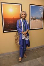 at DR Batra exhibition in NCPA, Mumbai on 21st Aug 2013 (4).JPG