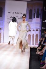 Model walk the ramp for Anita Dongre show at LFW 2013 Day 1 in Grand Haytt, Mumbai on 23rd Aug 2013 (27).JPG