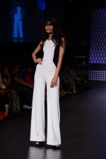 Model walk the ramp for Global Desi show at LFW 2013 Day 3 in Grand Haytt, Mumbai on 25th Aug 2013 (38).JPG