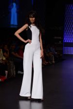 Model walk the ramp for Global Desi show at LFW 2013 Day 3 in Grand Haytt, Mumbai on 25th Aug 2013 (39).JPG