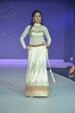 Model walks for Riddhi-Siddhi at The Style Walk at LFW 2013 Day 6 in Grand Haytt, Mumbai on 28th Aug 2013 (476).JPG