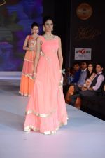Model walks for Riddhi-Siddhi at The Style Walk at LFW 2013 Day 6 in Grand Haytt, Mumbai on 28th Aug 2013 (531).JPG