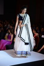 Model walks for Riddhi-Siddhi at The Style Walk at LFW 2013 Day 6 in Grand Haytt, Mumbai on 28th Aug 2013 (560).JPG