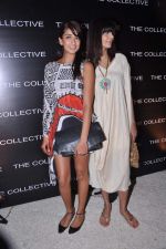 Binal Trivedi at the launch of The Collective style Book - Green Room in Mumbai on 31st Aug 2013 (121).JPG