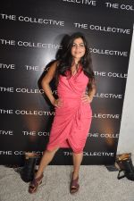 Shenaz Treasury at the launch of THE COLLECTIVE Style book - The Green Room.JPG