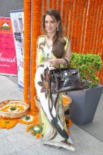 Pria Kataria Puri at Araish Exhibition in Mumbai on 3rd Sept 2013 (49).JPG