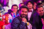Dhanush at South Indian International Movie Awards 2013 Next Gen and Music Awards day 1 on 12th Sept 2013 (230).jpg
