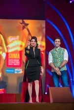 at South Indian International Movie Awards 2013 Next Gen and Music Awards day 1 on 12th Sept 2013 (294).jpg