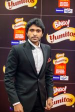 at South Indian International Movie Awards 2013 Next Gen and Music Awards day 1 on 12th Sept 2013 (45).jpg