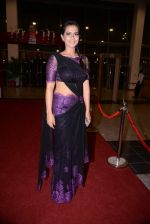 at South Indian International Movie Awards 2013 Red Carpet Day 1 on 12th Sept 2013 (131).JPG