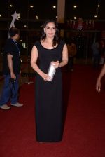 at South Indian International Movie Awards 2013 Red Carpet Day 1 on 12th Sept 2013 (70).JPG