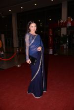 at South Indian International Movie Awards 2013 Red Carpet Day 2 on 12th Sept 2013(363).JPG