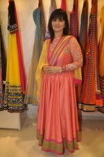 Neeta Lulla_s store in Santacruz, Mumbai on 26th Sept 2013 (29).JPG