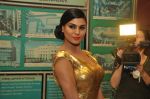 Veena Malik_s Super Model premiere in Fun, Mumbai on 2013 (56).JPG
