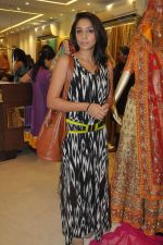 Shweta Salve at Neeta Lulla_s Bridal collection in Mumbai on 5th Oct 2013 (104).JPG