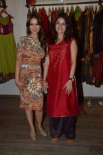 Kim Sharma at Shruti Sancheti & Priyadarshini preview in Atosa, Mumbai on 11th oct 2013 (75)_5259609593127.JPG