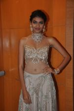 at  dassani jewellery preview in Mumbai on 11th Oct 2013 (3)_525964ec60ac1.JPG