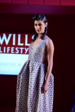 Model walks for Ashish Soni - grand finale at Wills day 5 on WIFW 2014 on 13th Oct 2013 (119)_525cc0d11a23e.JPG