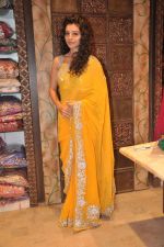 Sukirti Kandpal at Telly Calendar launch with Bawree Fashions to be shot in Malaysia on 15th Oct 2013 (47)_525ff19a8db5c.JPG