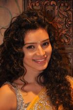 Sukirti Kandpal at Telly Calendar launch with Bawree Fashions to be shot in Malaysia on 15th Oct 2013 (50)_525ff332e5328.JPG