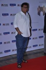  at Mami film festival opnening in liberty Cinema, Mumbai on 17th Oct 2013 (24)_5261099ba6528.JPG