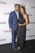 Abhishek Kapoor at Moet Hennesey launch of Chandon wines made now in India in Four Seasons, Mumbai on 19th Oct 2013(253)_5263eba57799d.JPG