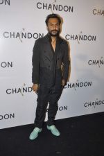 Aki Narula at Moet Hennesey launch of Chandon wines made now in India in Four Seasons, Mumbai on 19th Oct 2013(486)_5263ebb7db5b8.JPG