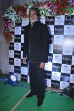 Amitabh Bachchan at Society Awards in Worli, Mumbai on 19th Oct 2013 (111)_5263f627971bb.JPG