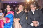 Amitabh Bachchan at Society Awards in Worli, Mumbai on 19th Oct 2013 (113)_5263f62d73e9b.JPG