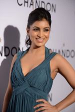 Pallavi Sharda at Moet Hennesey launch of Chandon wines made now in India in Four Seasons, Mumbai on 19th Oct 2013 (43)_5263edd934e4b.JPG