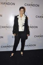 Simone Singh at Moet Hennesey launch of Chandon wines made now in India in Four Seasons, Mumbai on 19th Oct 2013(444)_5263ee29c6733.JPG