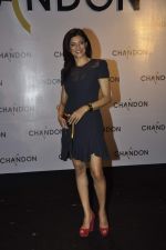 Sushmita Sen at Moet Hennesey launch of Chandon wines made now in India in Four Seasons, Mumbai on 19th Oct 2013(287)_5263ef5aa5861.JPG