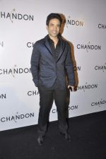 Tusshar Kapoor at Moet Hennesey launch of Chandon wines made now in India in Four Seasons, Mumbai on 19th Oct 2013(457)_5263ef4a91412.JPG