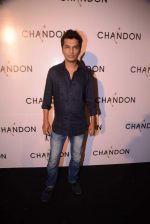 Vikram Phadnis at Moet Hennesey launch of Chandon wines made now in India in Four Seasons, Mumbai on 19th Oct 2013 (115)_5263ef5d94414.JPG