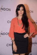 at Moet Hennesey launch of Chandon wines made now in India in Four Seasons, Mumbai on 19th Oct 2013 (144)_5263e72e4358a.JPG