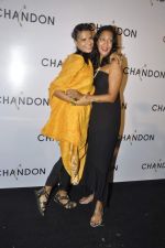 at Moet Hennesey launch of Chandon wines made now in India in Four Seasons, Mumbai on 19th Oct 2013(201)_5263e3d0bd83c.JPG