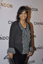 at Moet Hennesey launch of Chandon wines made now in India in Four Seasons, Mumbai on 19th Oct 2013(337)_5263e4a52e96d.JPG