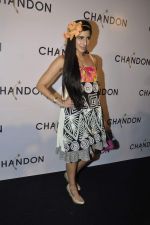 at Moet Hennesey launch of Chandon wines made now in India in Four Seasons, Mumbai on 19th Oct 2013(469)_5263e57baa431.JPG