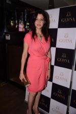 Aditi Govitrikar at the Launch of Shaheen Abbas collection for Gehna Jewellers in Mumbai on 23rd Oct 2013 (43)_526915ca909d0.JPG