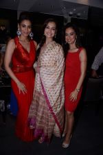 Dia Mirza at the Launch of Shaheen Abbas collection for Gehna Jewellers in Mumbai on 23rd Oct 2013 (98)_52691710ee022.JPG