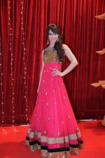 Lauren Gottileb at ITA Awards in Mumbai on 23rd Oct 2013_52691caa00be8.jpg