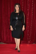 Pragati Mehra at ITA Awards in Mumbai on 23rd Oct 2013_52691cc410691.jpg