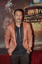at ITA Awards in Mumbai on 23rd Oct 2013 (50)_52691c85cae3e.JPG